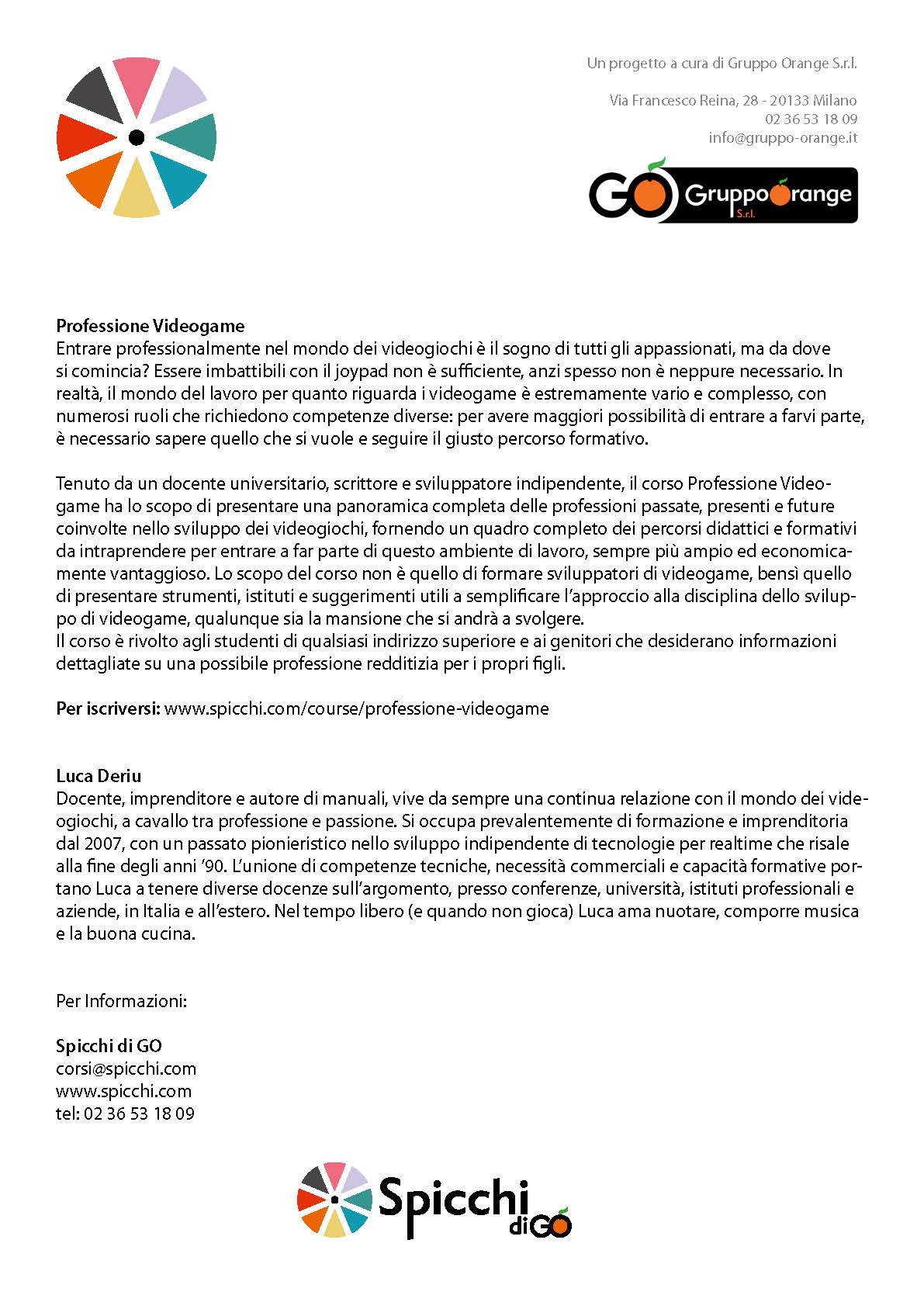 Professione Videogame